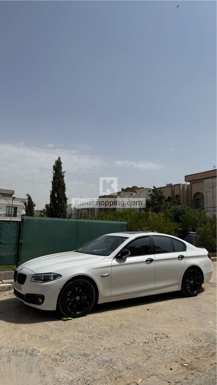 BMW 5 Series 2014