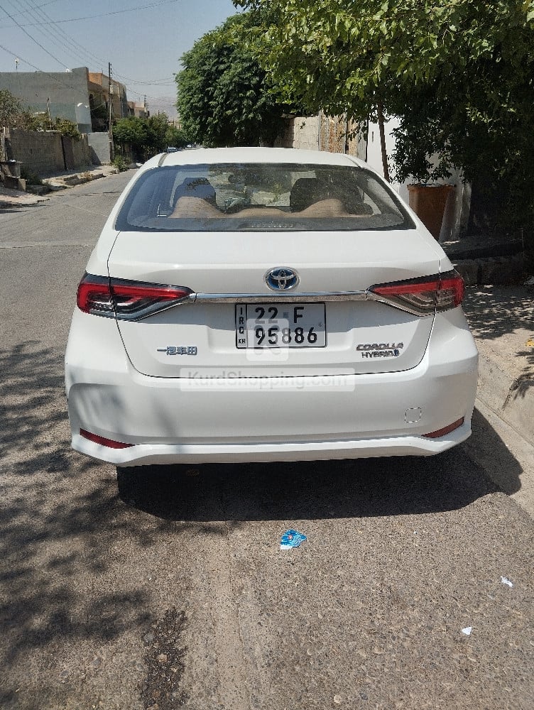 Toyota Corolla 2024