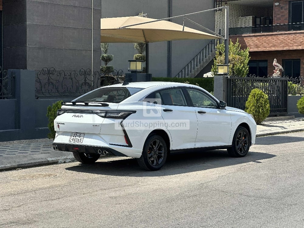 Dongfeng Shine 2024