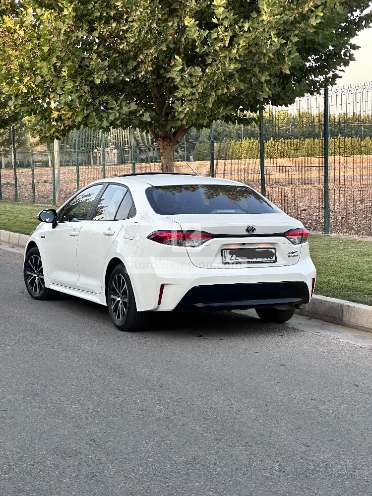 Toyota Corolla 2024