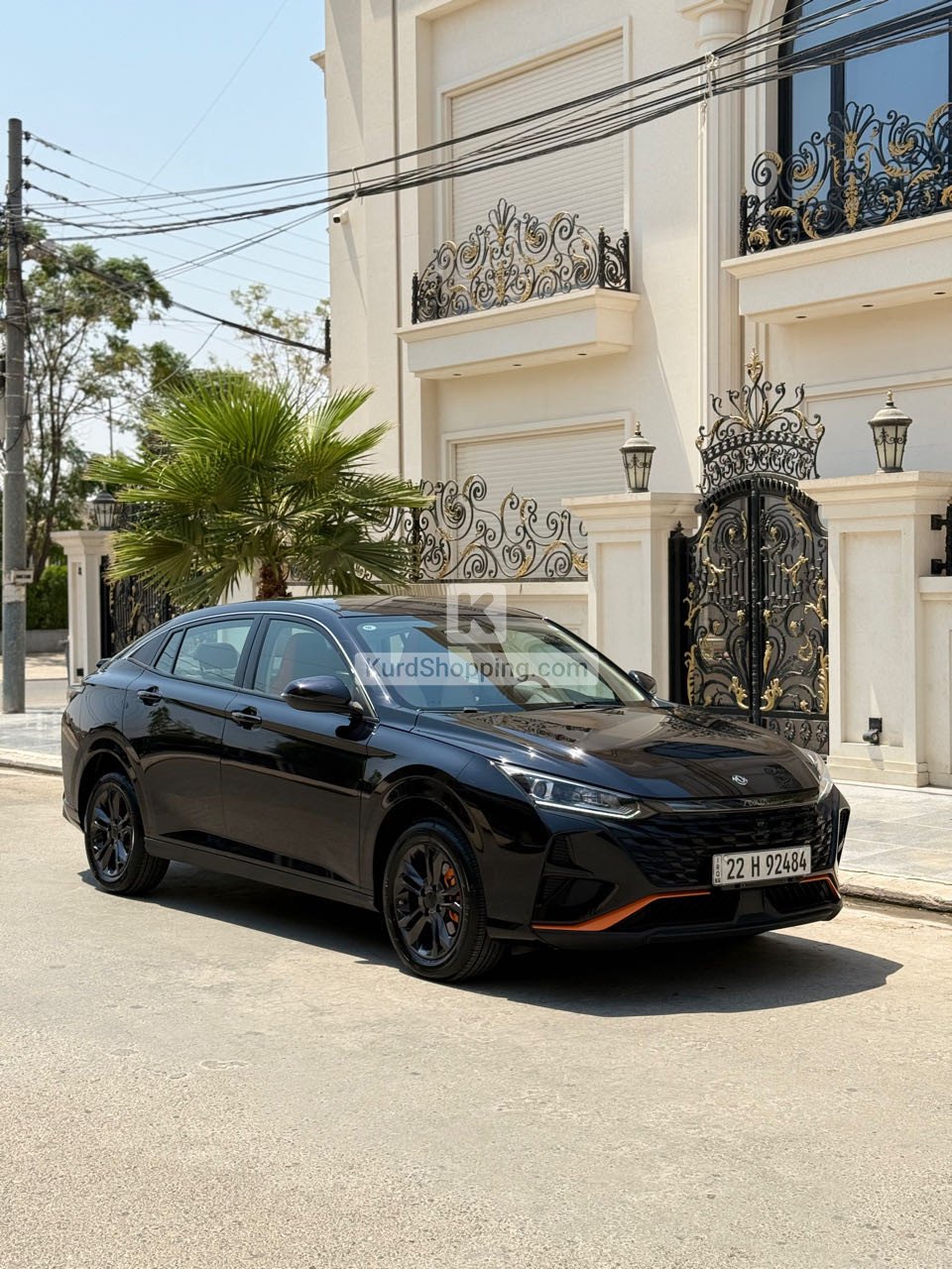 Dongfeng Shine 2024