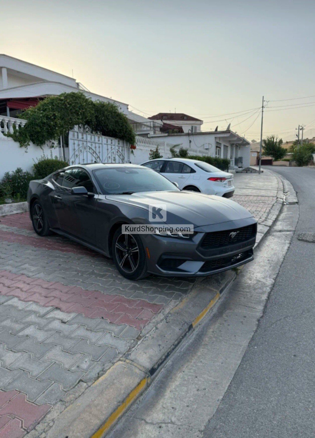 Ford Mustang 2024