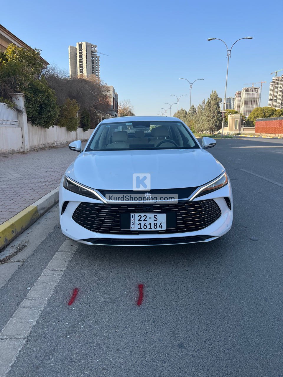 BYD BYD 2024