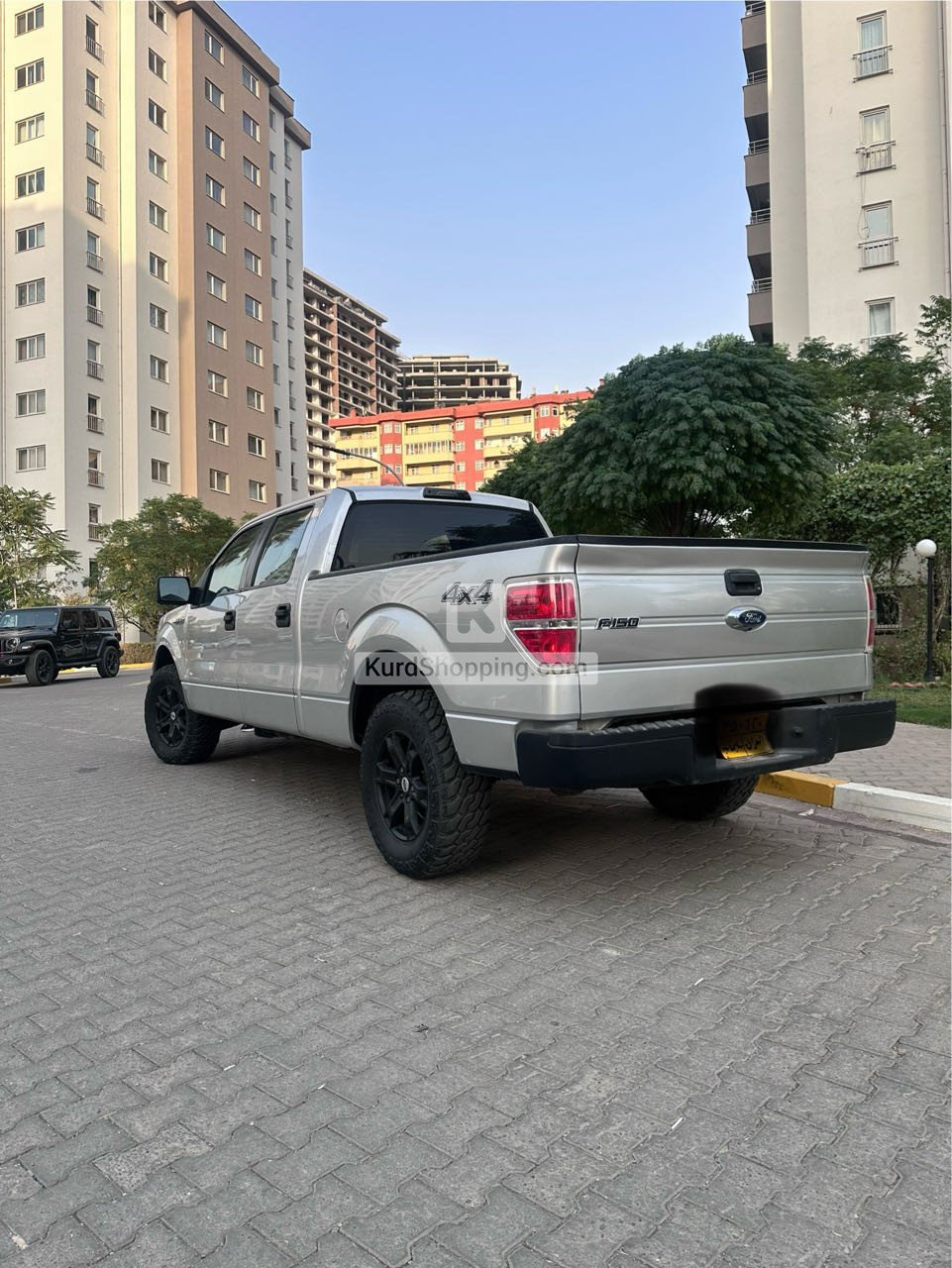 Ford F-Series 2010