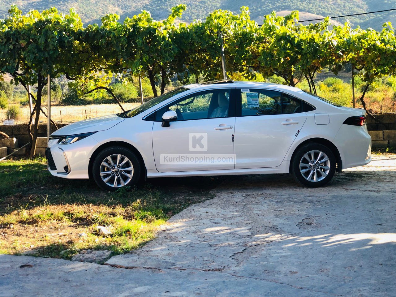 Toyota Corolla 2024