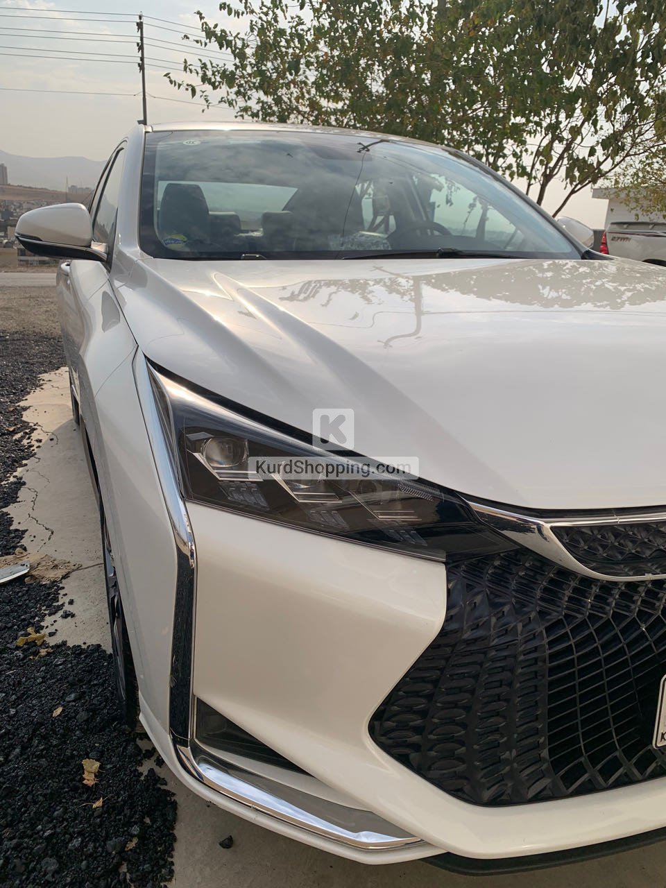 Dongfeng Shine 2023