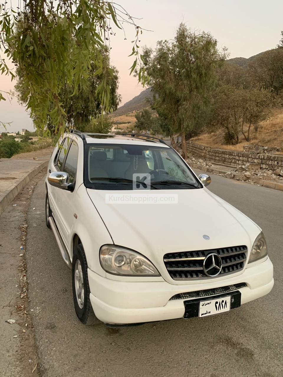Mercedes Benz M-Class 2001