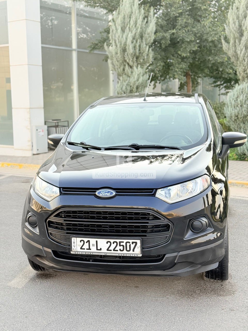 Ford Ecosport 2017
