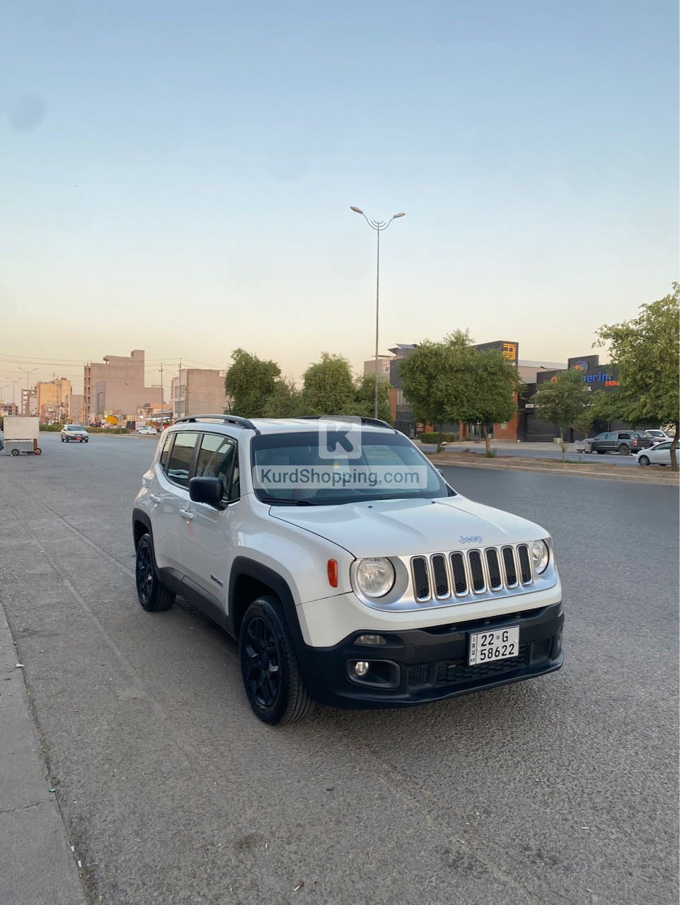 Jeep Renegade 2017