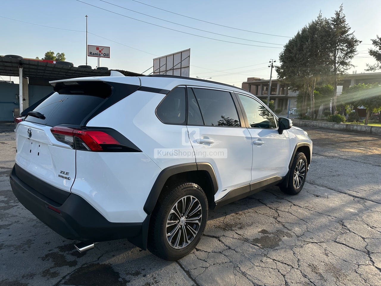 Toyota Rav4 2024