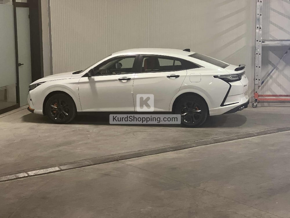 Dongfeng Shine 2025