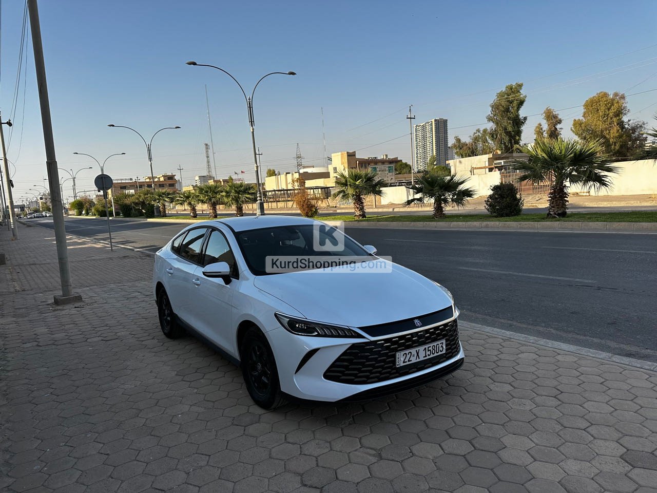 BYD BYD 2025