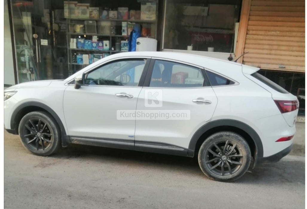 Dongfeng Shine 2023