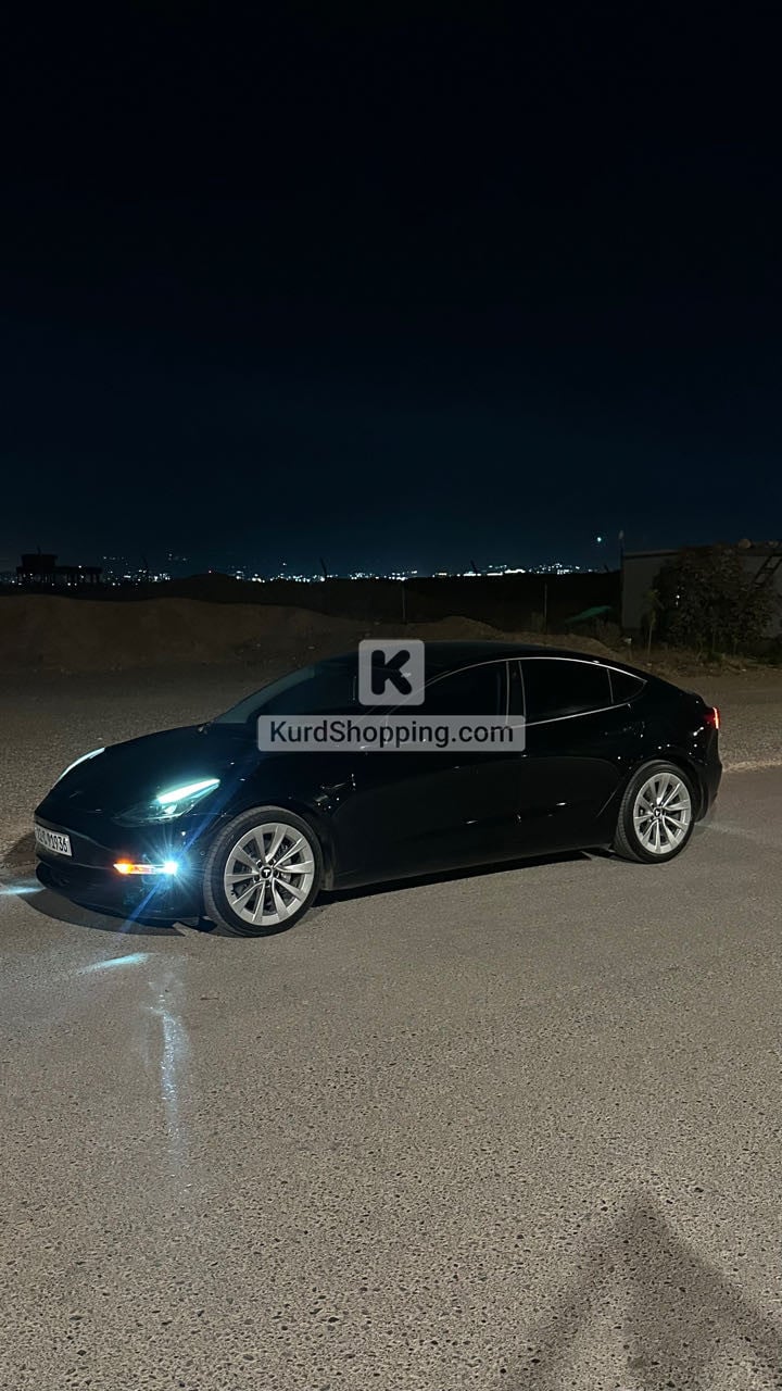 Tesla Model 3 2022