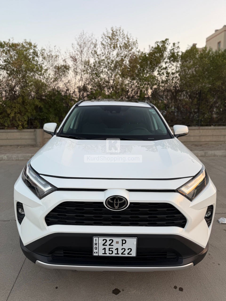 Toyota Rav4 2024
