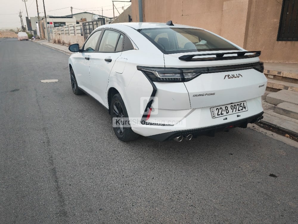 Dongfeng Shine 2024