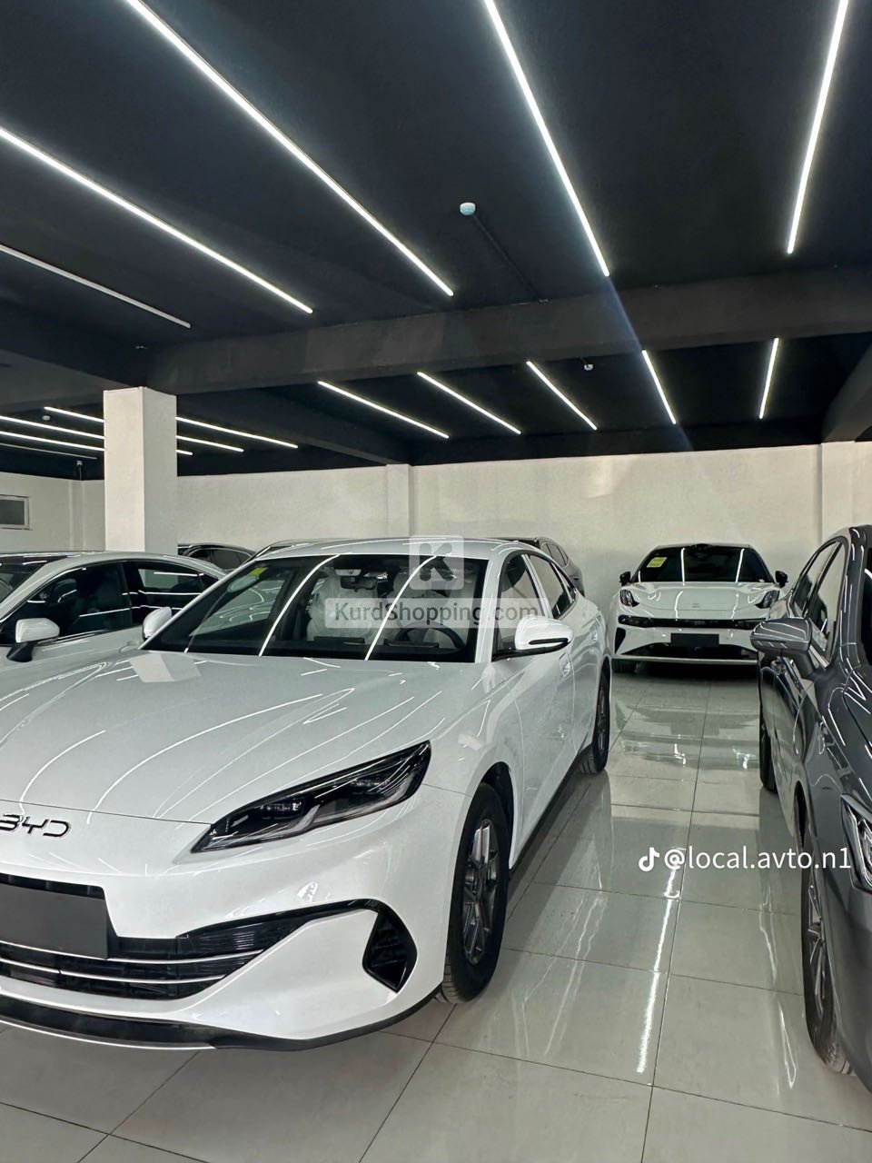 BYD BYD 2025