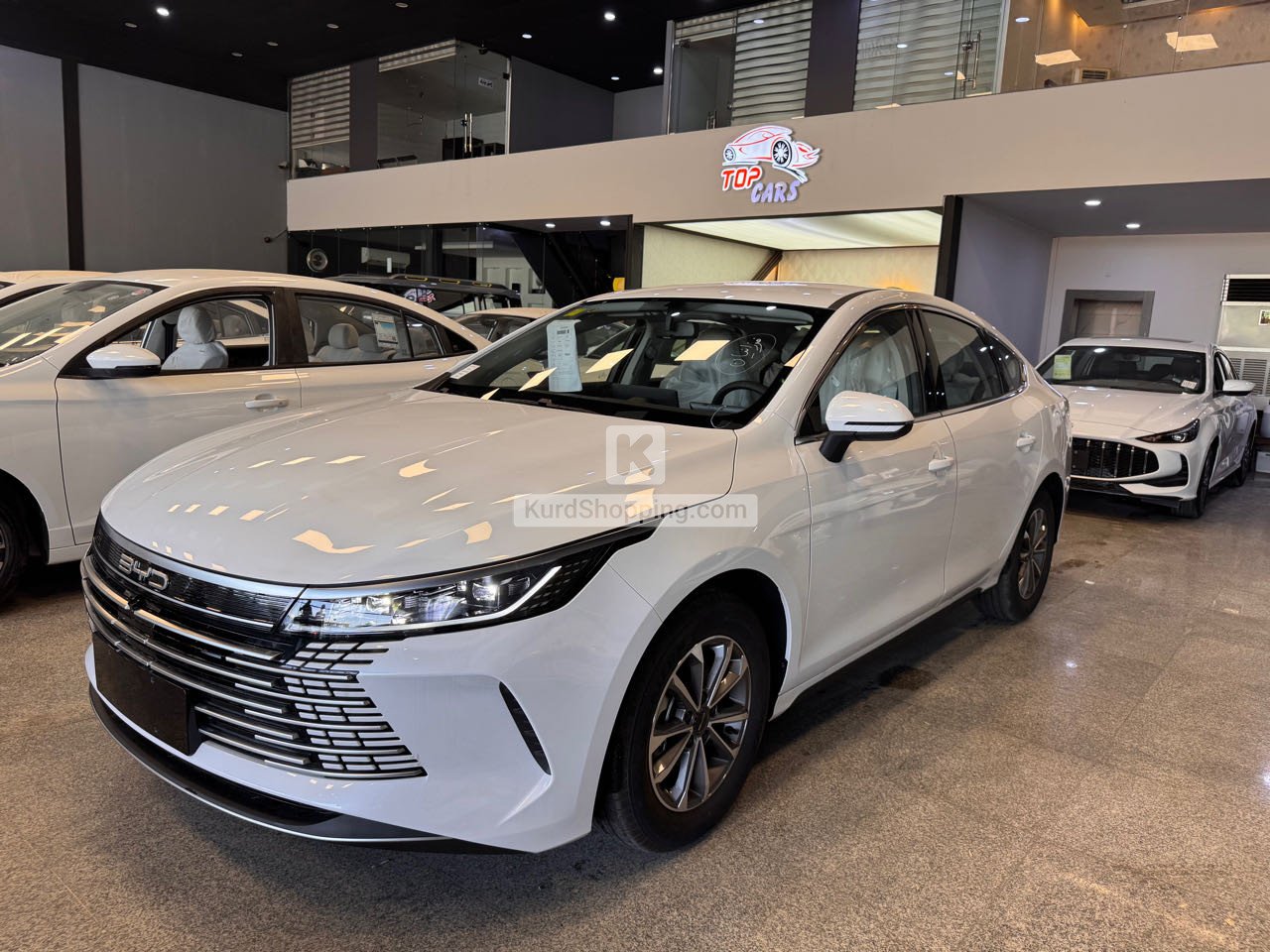 BYD BYD 2025
