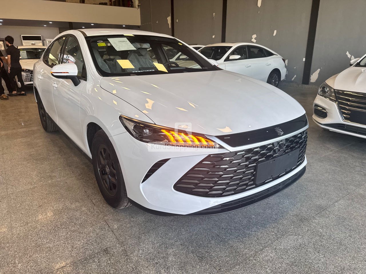 BYD BYD 2025