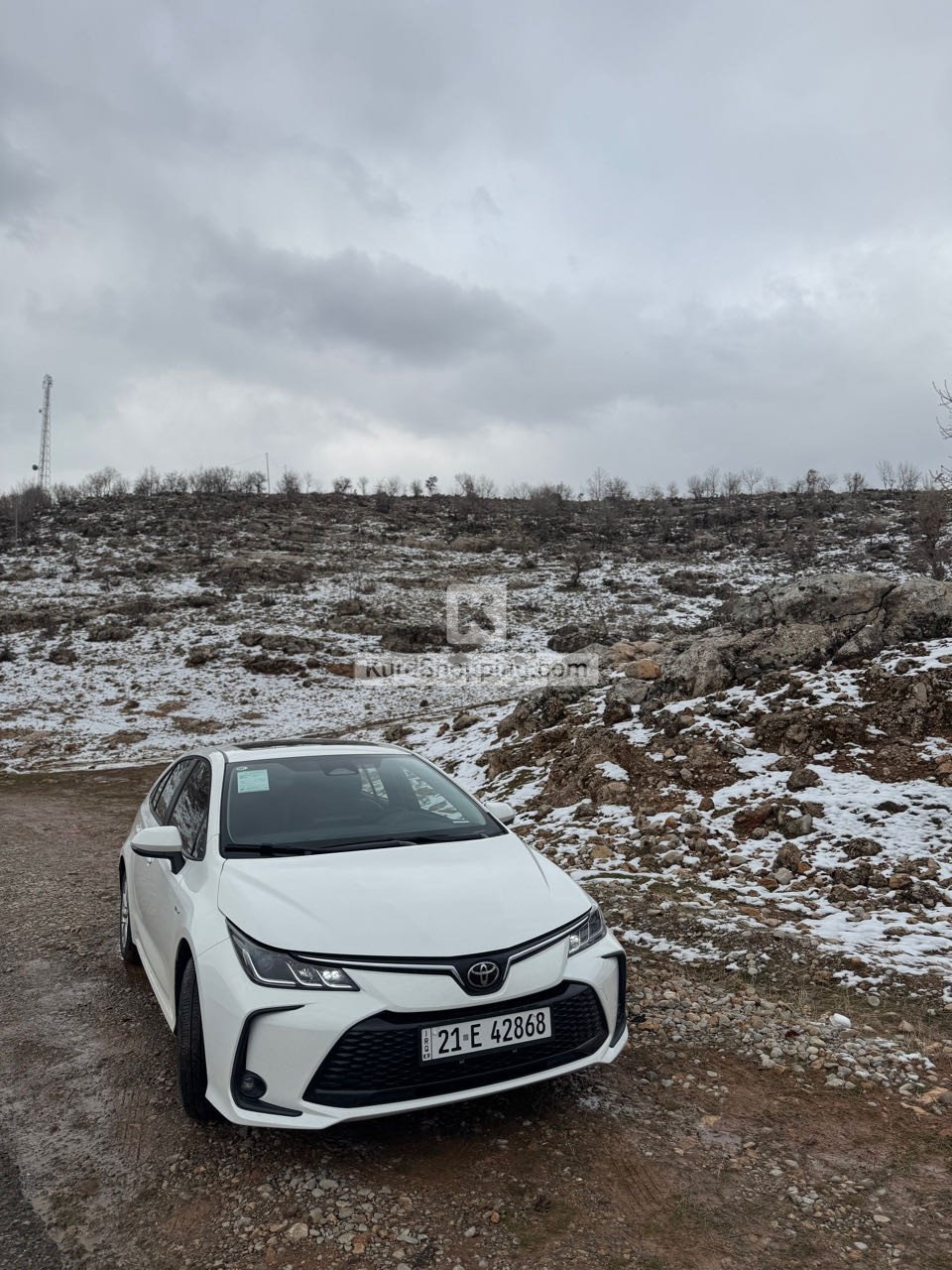 Toyota Corolla 2024
