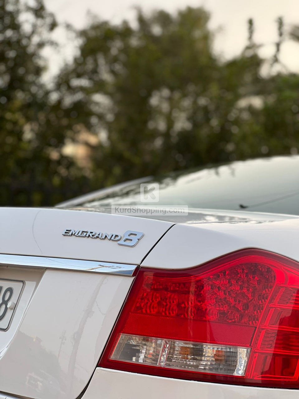 Geely Emgrand EC 8 2013
