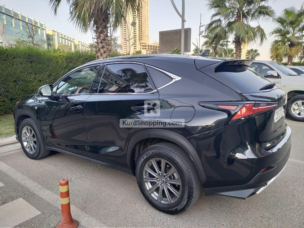 Lexus NX300 2021