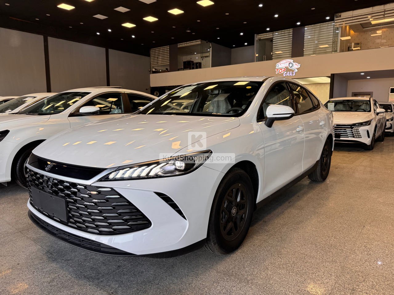 BYD BYD 2025