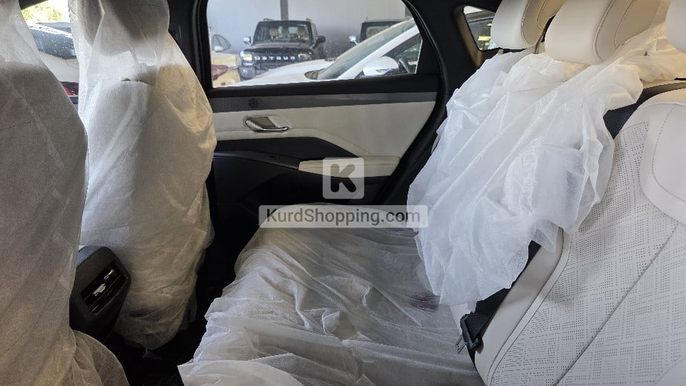 BYD BYD 2025