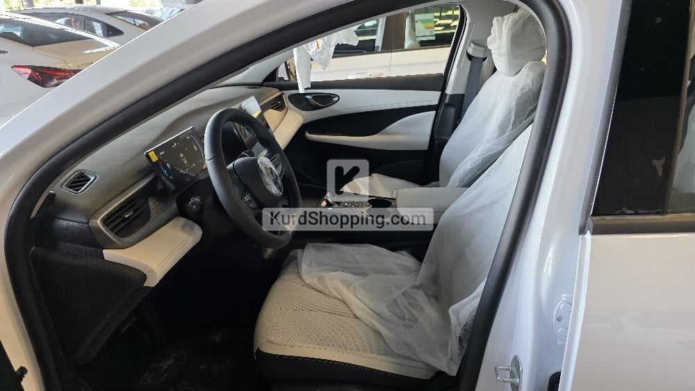 BYD BYD 2025