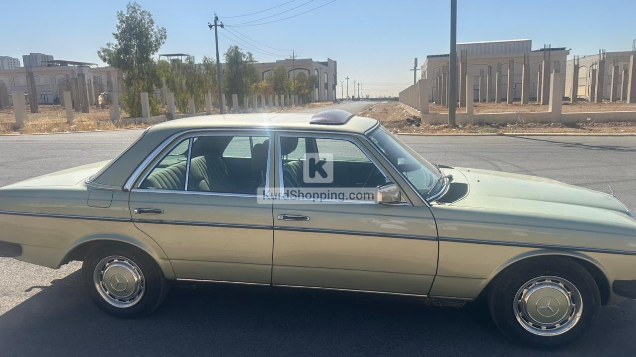 Mercedes Benz 230 1977