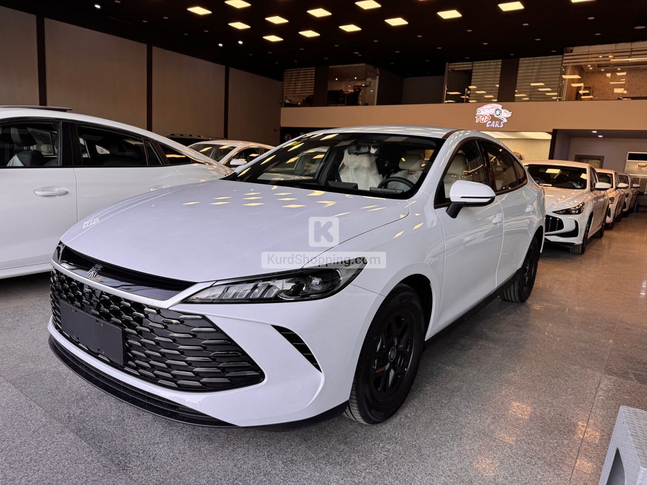 BYD BYD 2025