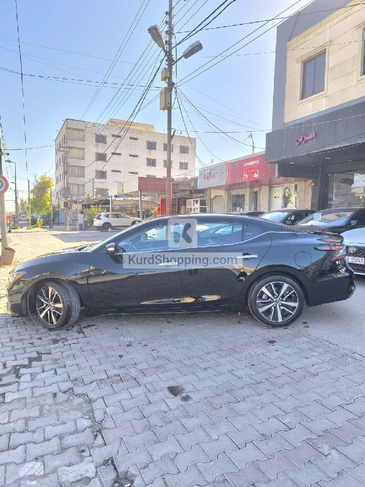 Nissan Maxima 2023