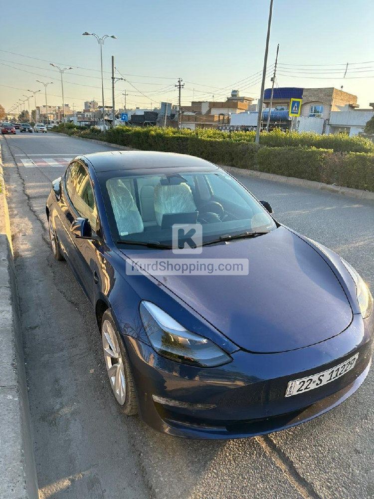 Tesla Model 3 2022