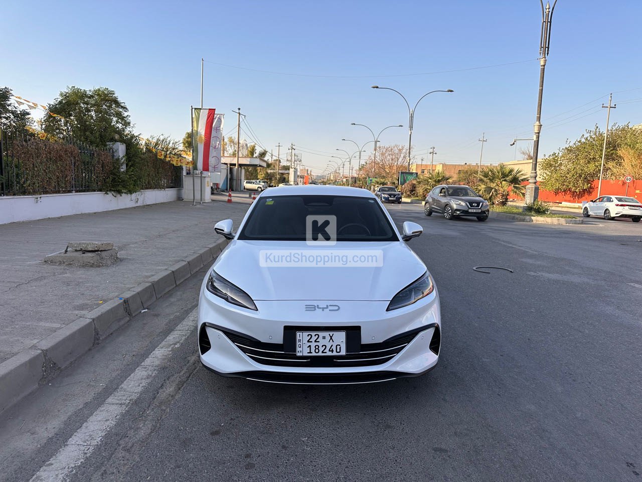 BYD BYD 2025