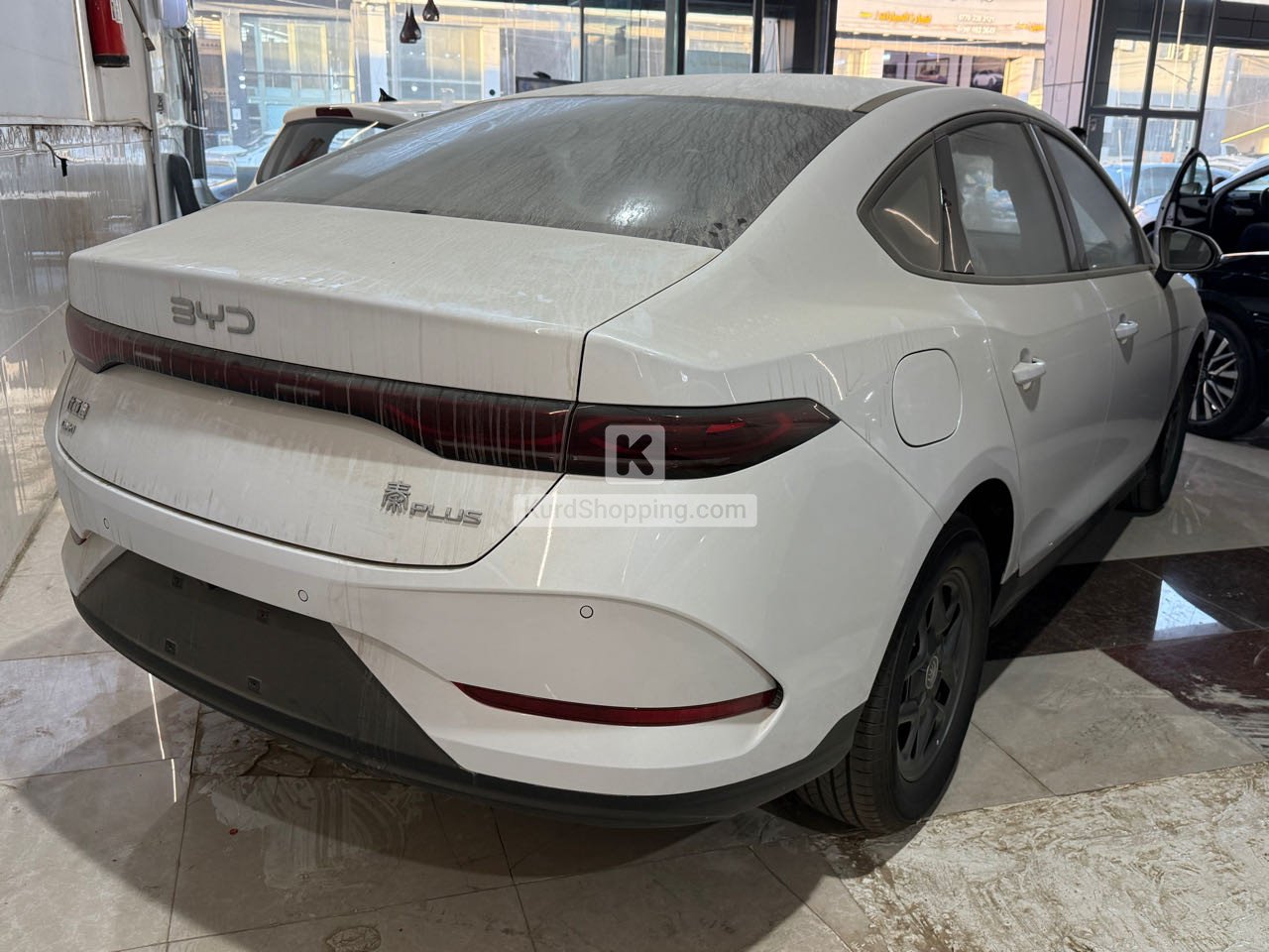 BYD BYD 2025