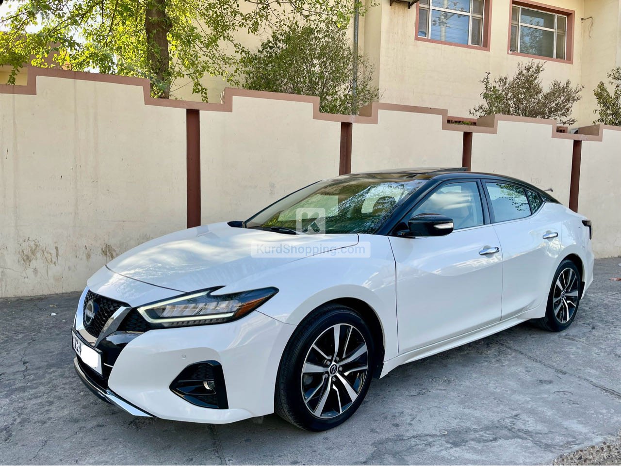 Nissan Maxima 2023
