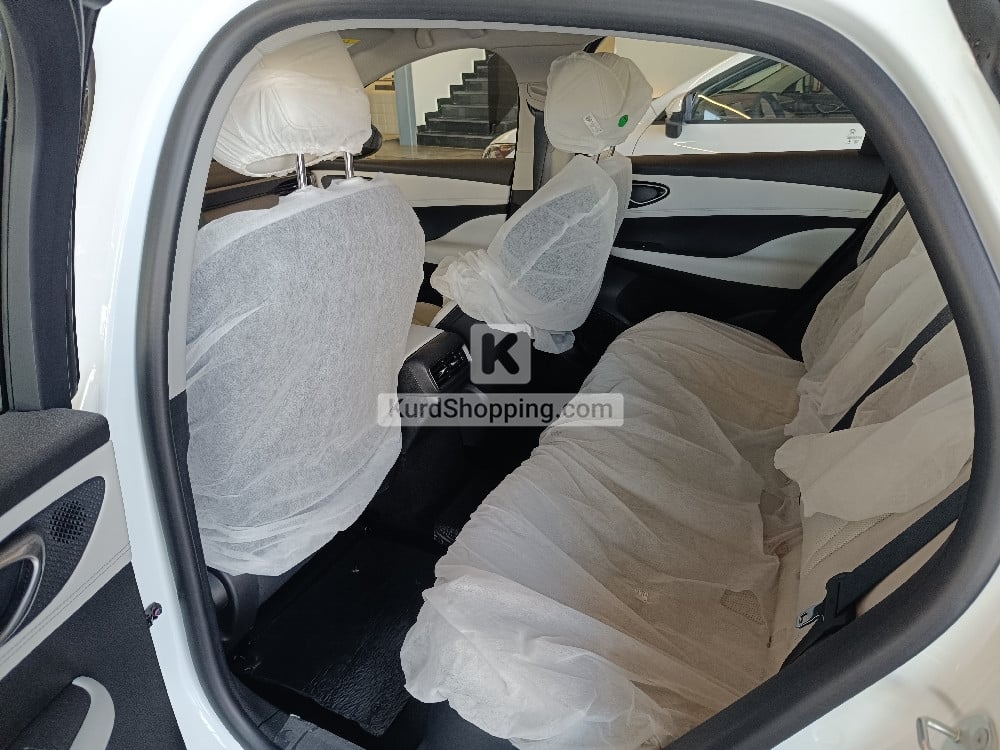 BYD BYD 2025