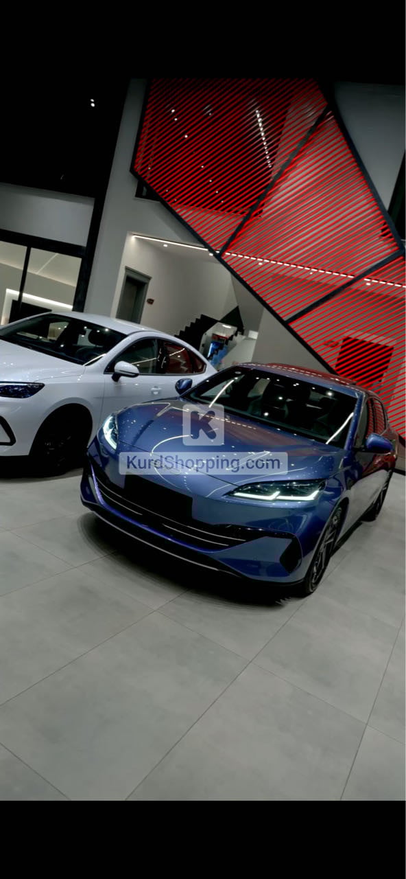 BYD BYD 2025
