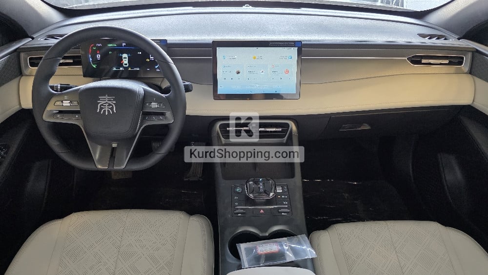 BYD BYD 2025