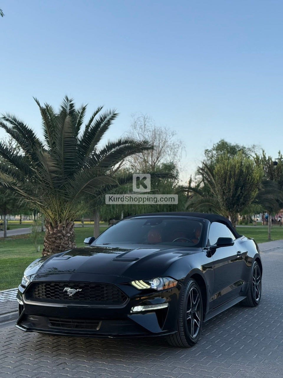 Ford Mustang 2023