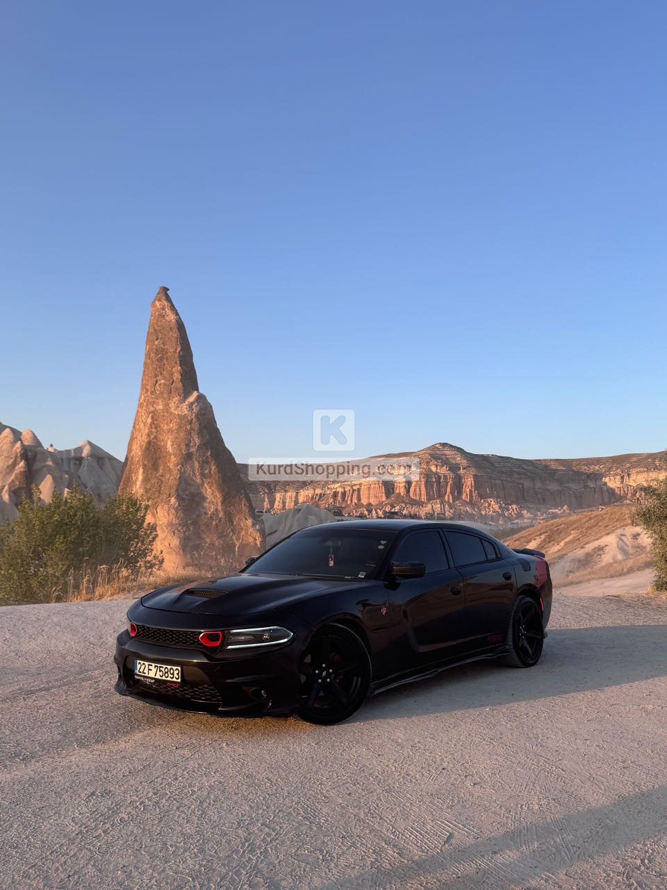 Dodge Charger 2019