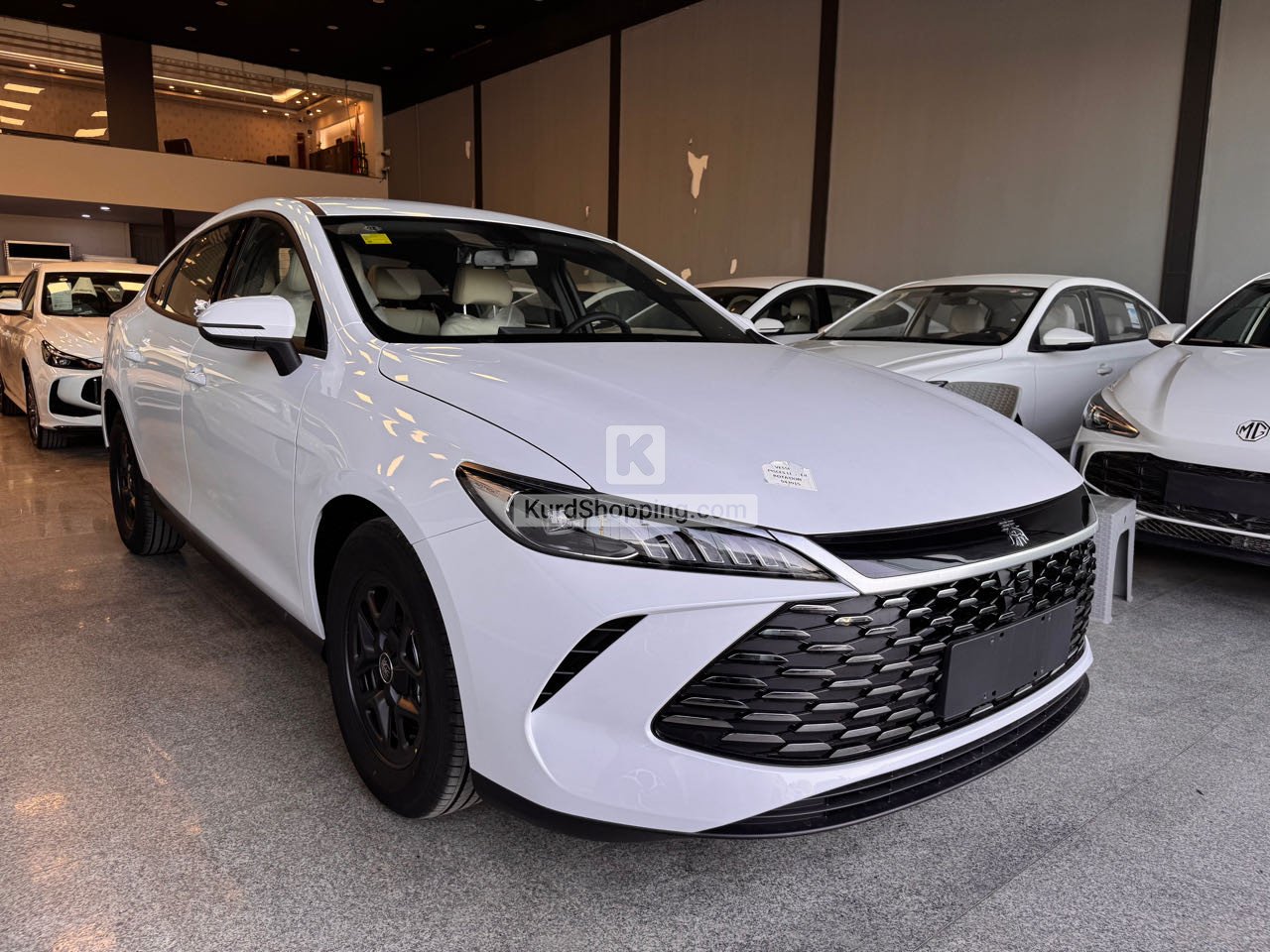 BYD BYD 2025
