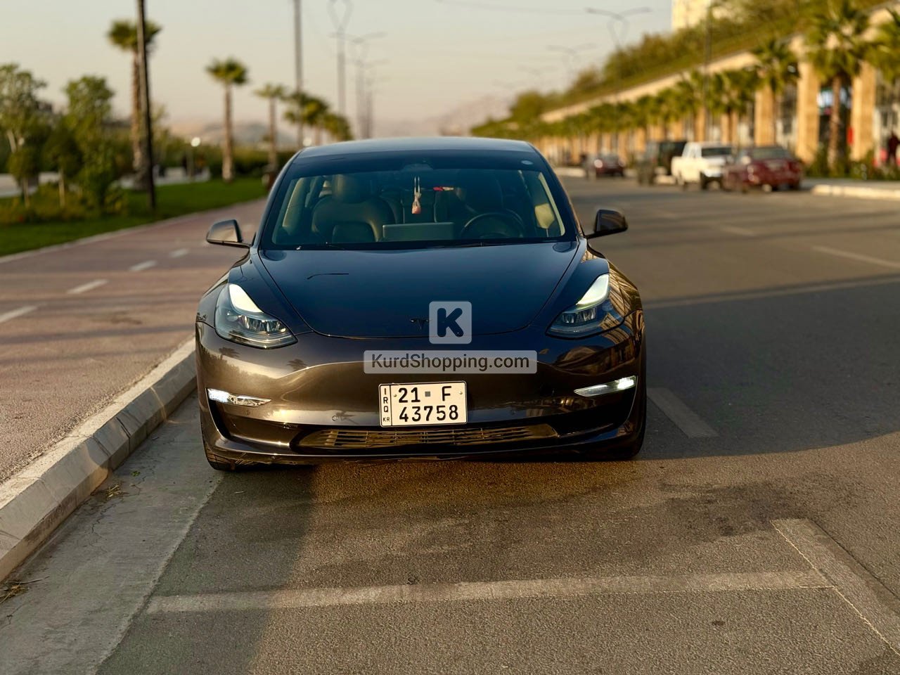 Tesla Model 3 2022