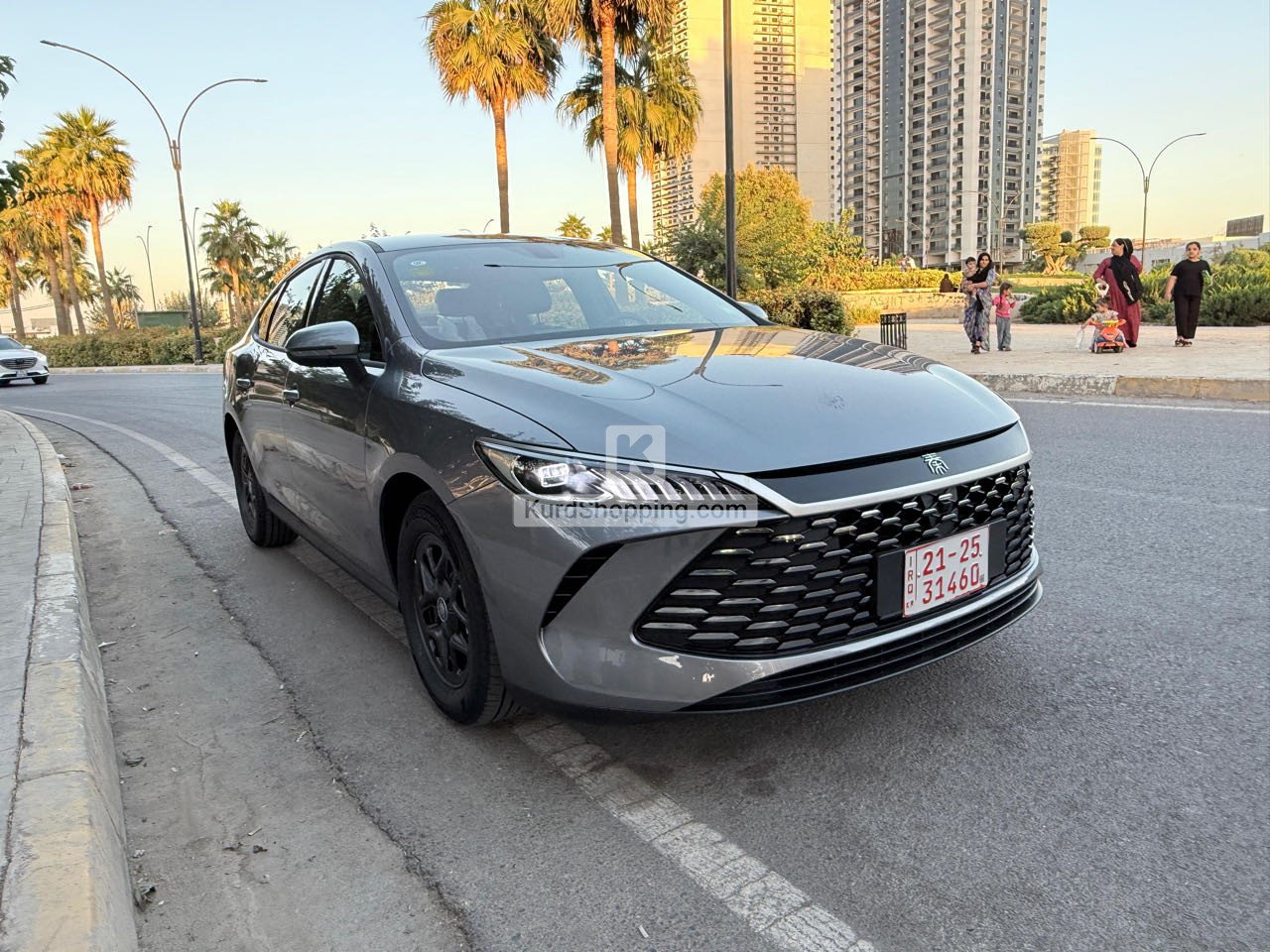 BYD BYD 2025