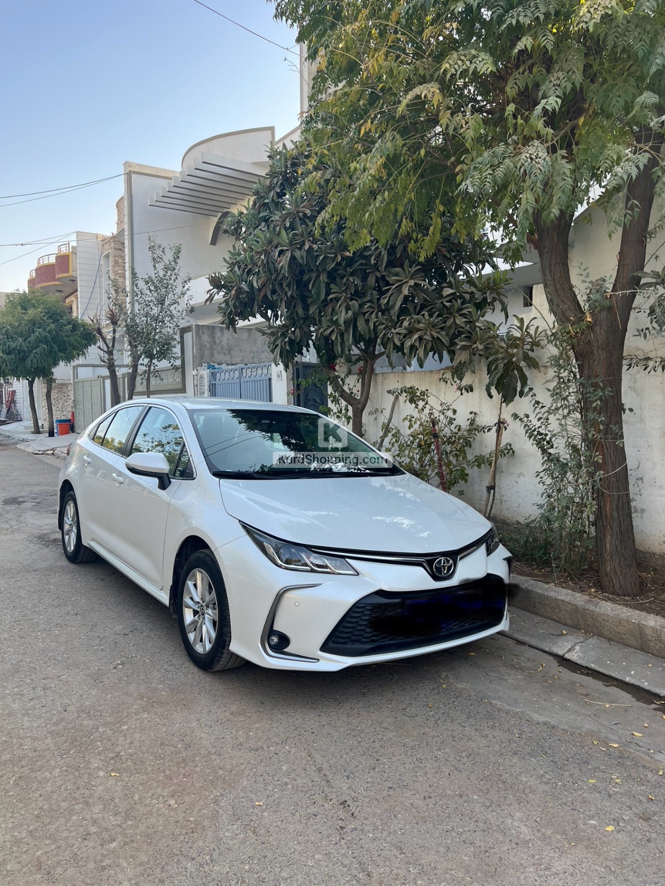 Toyota Corolla 2024