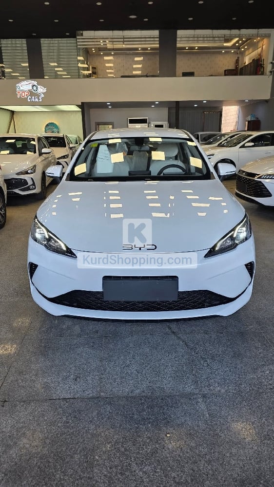 BYD BYD 2025