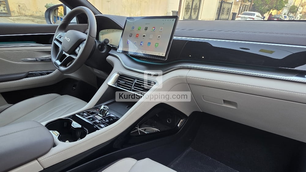 BYD BYD 2025