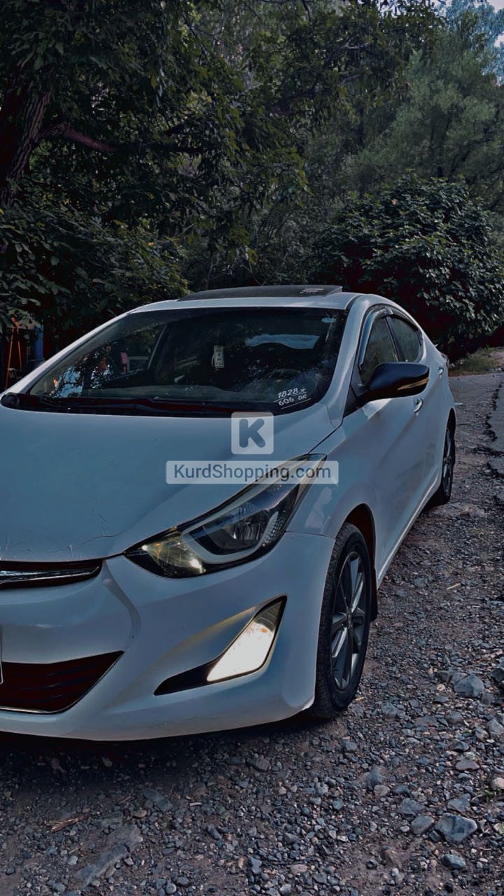 Hyundai Elantra 2014