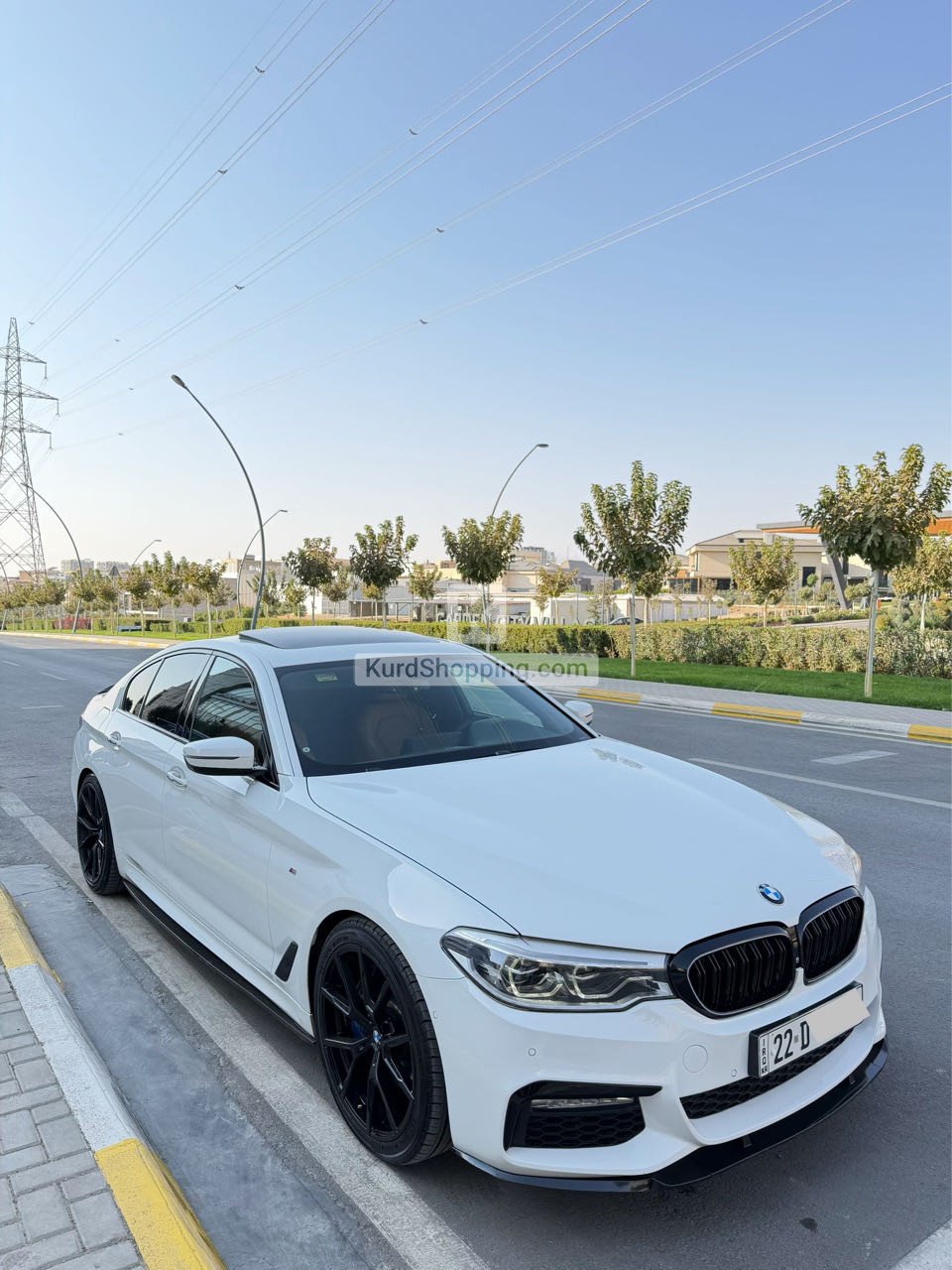 BMW 5 Series 2019