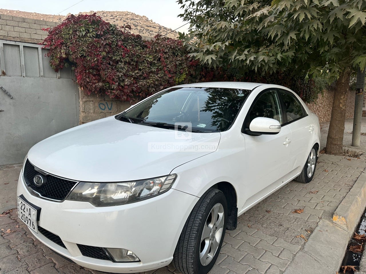 KIA Cerato 2010